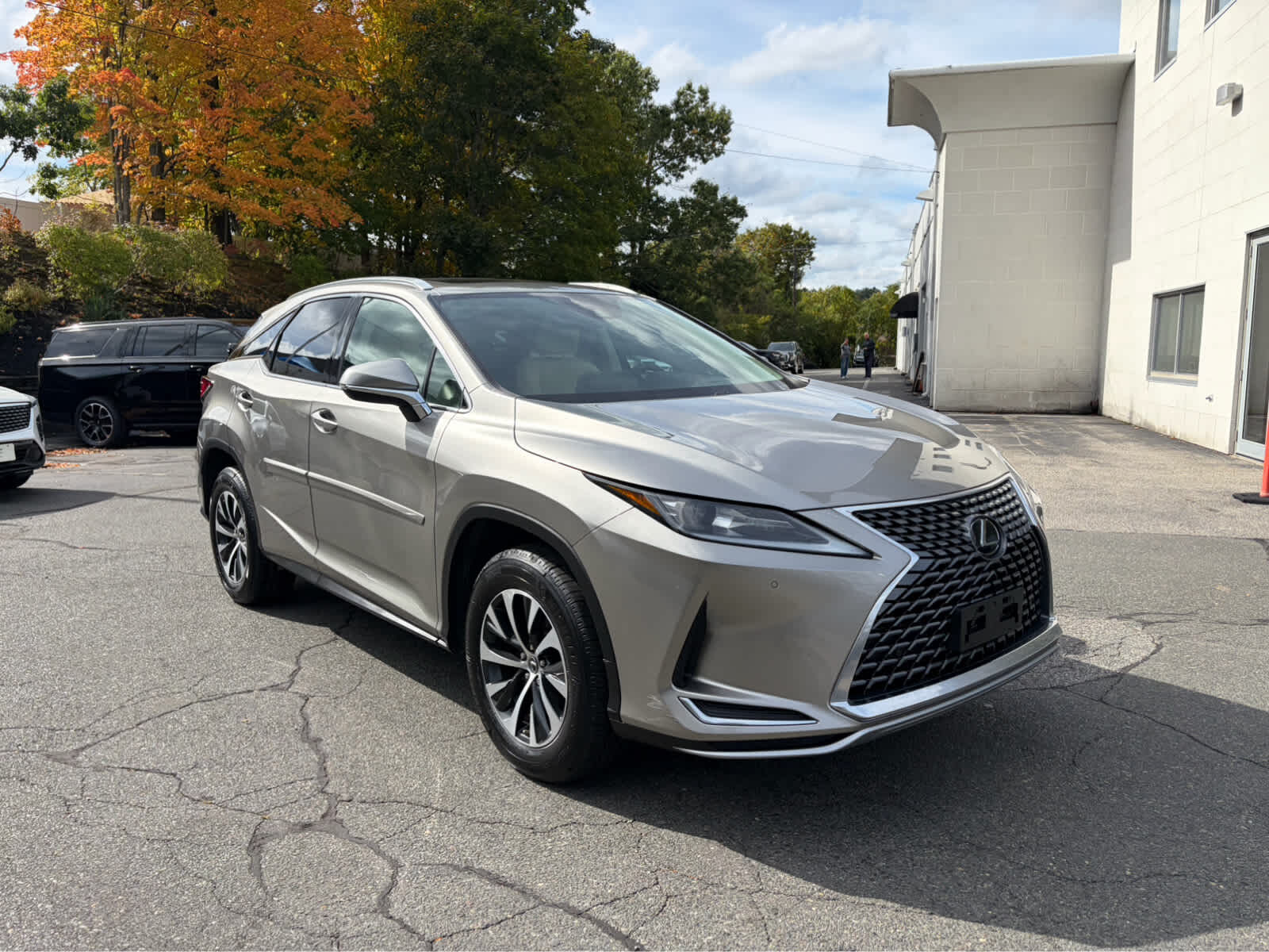 2020 LEXUS RX
