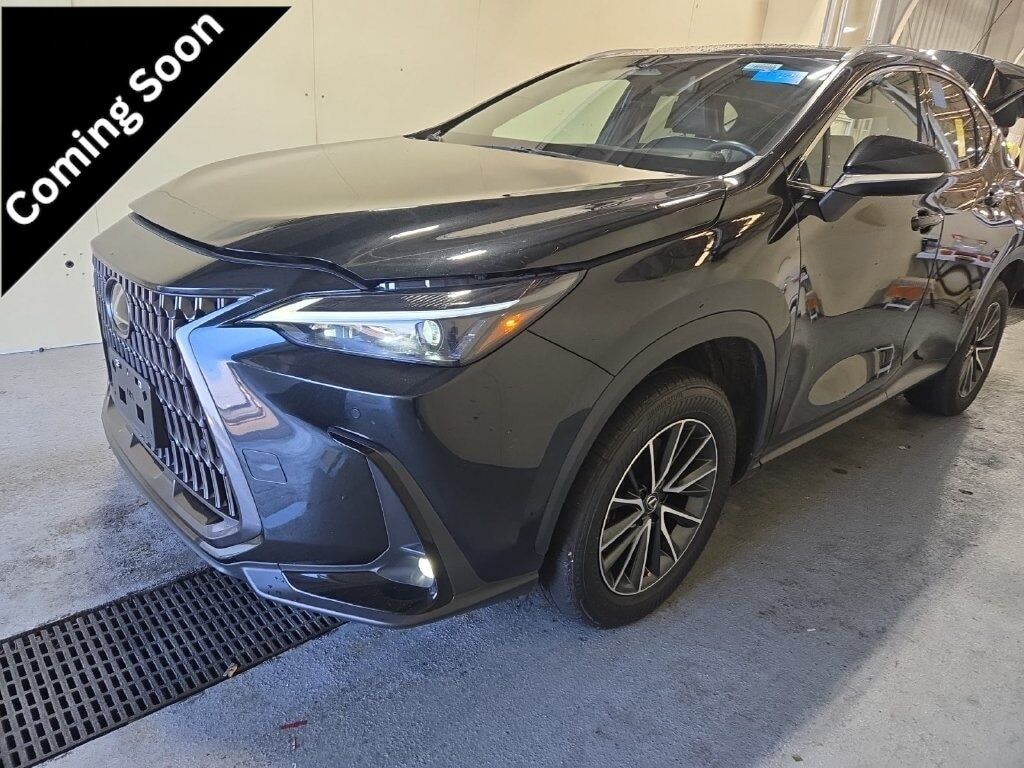 2024 LEXUS NX
