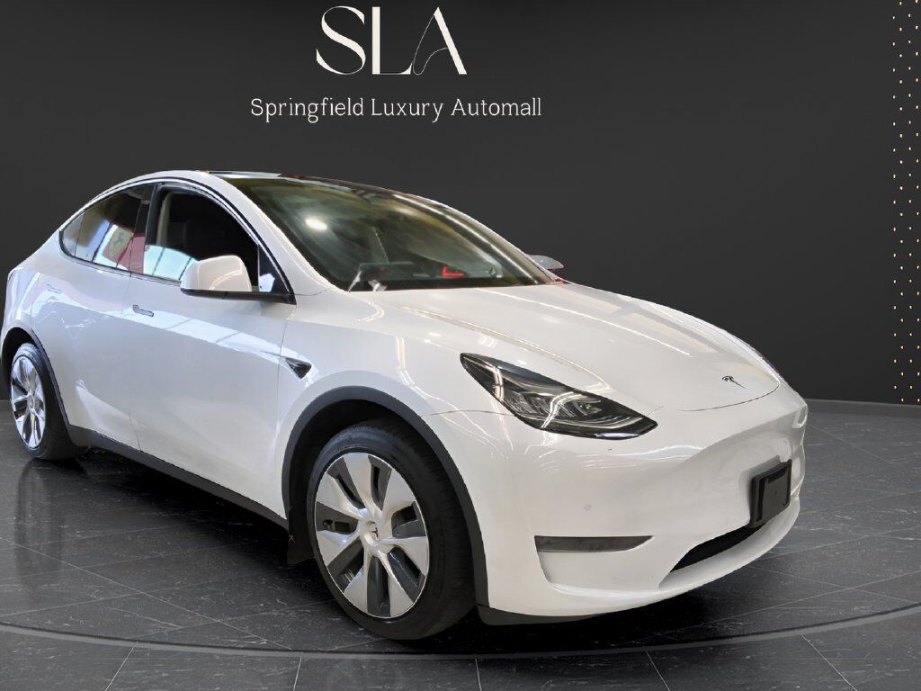 2020 TESLA Model Y