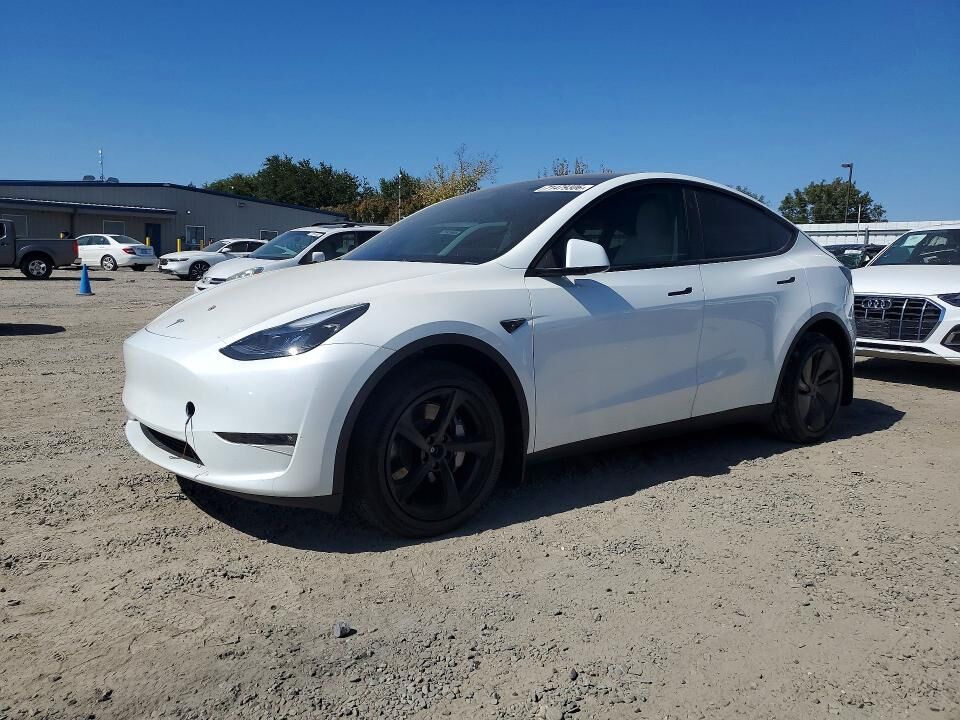 2023 TESLA Model Y