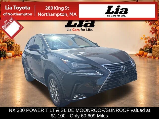 2020 LEXUS NX