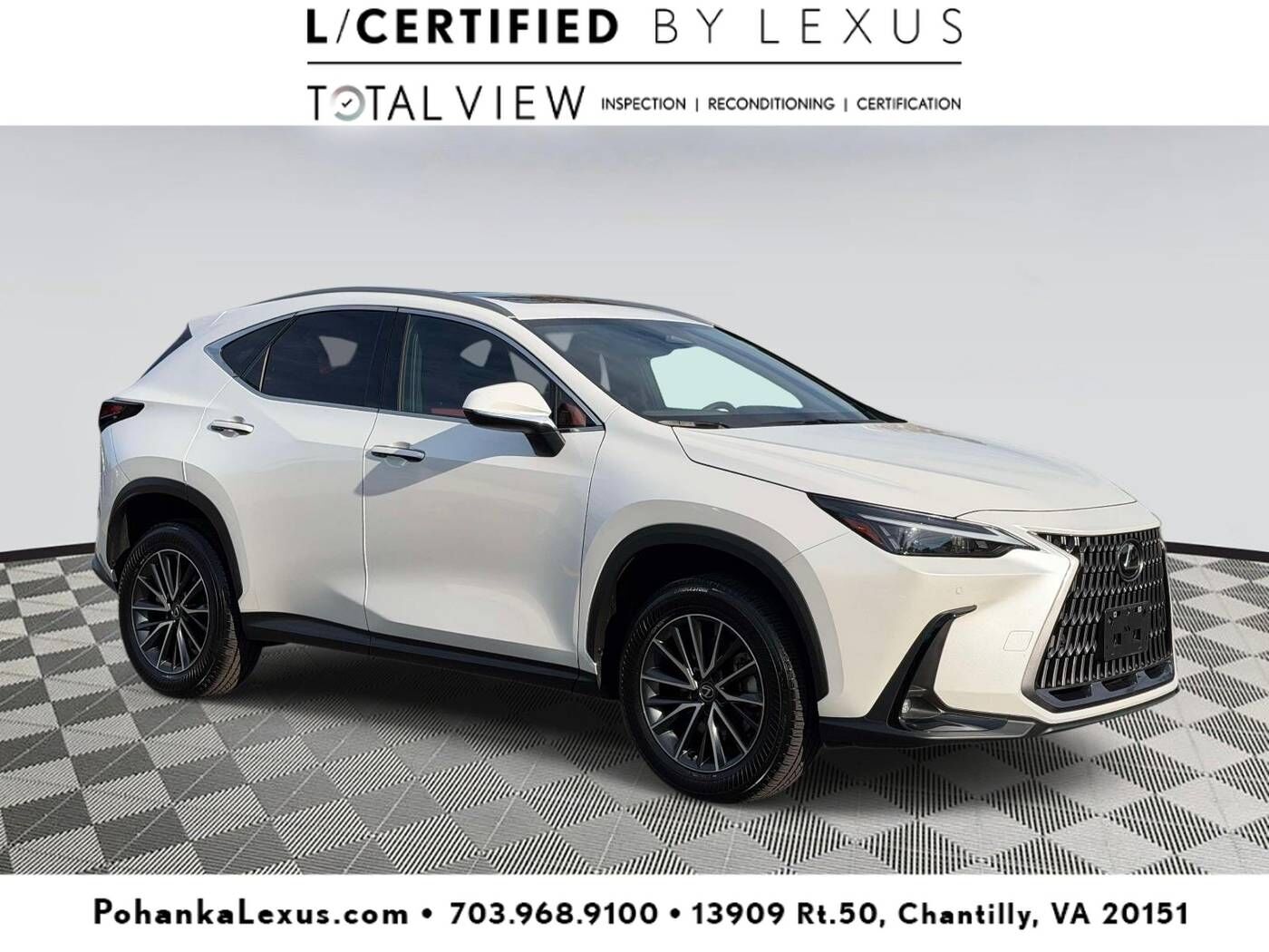 2025 LEXUS NX