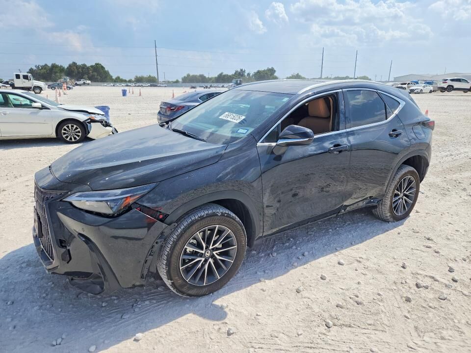 2026 LEXUS NX