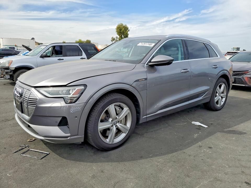 2019 AUDI e-tron