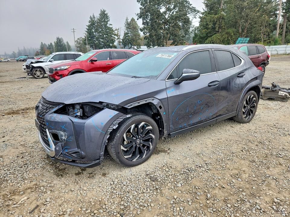 2023 LEXUS UX