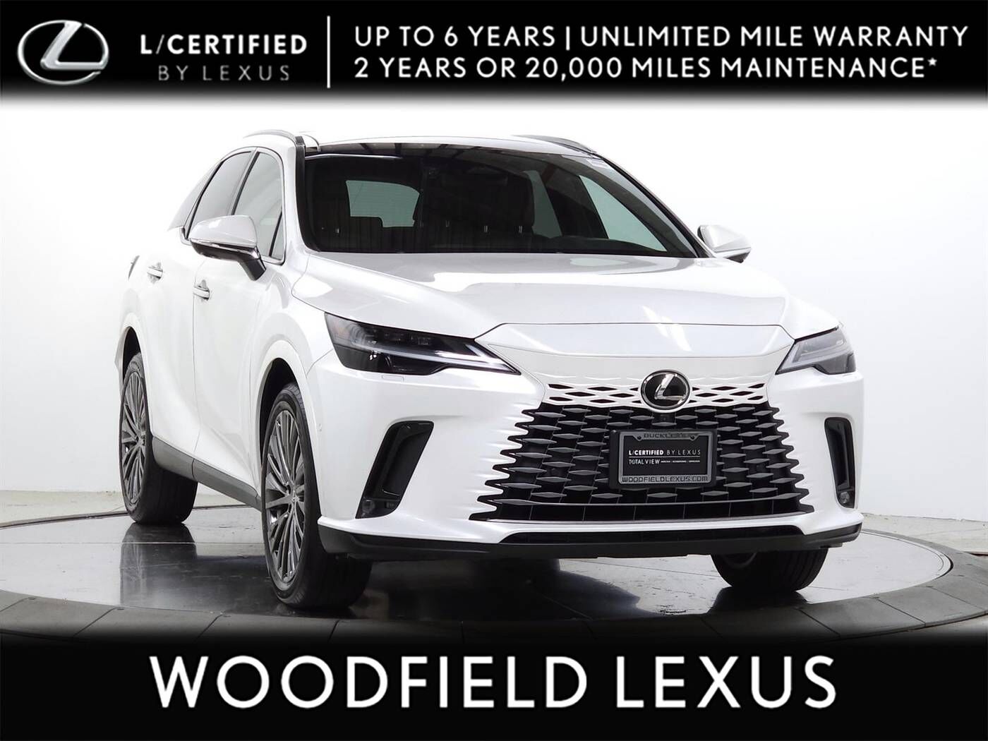 2024 LEXUS RX