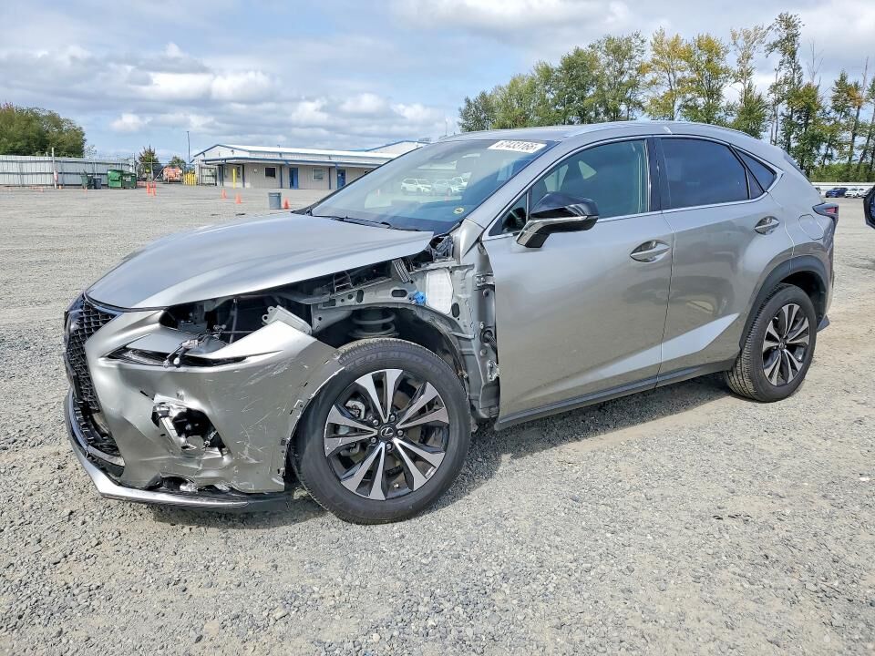 2019 LEXUS NX
