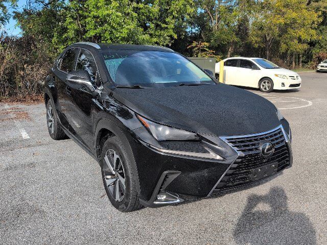 2019 LEXUS NX