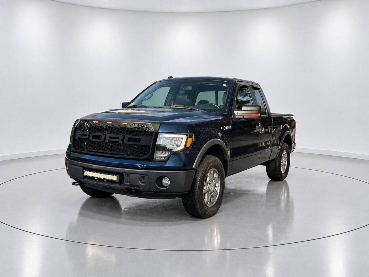 2009 FORD F-150