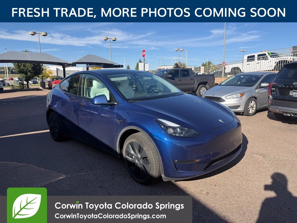 2024 TESLA Model Y