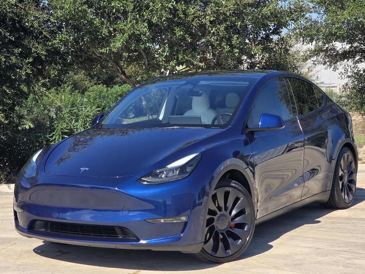 2023 TESLA Model Y