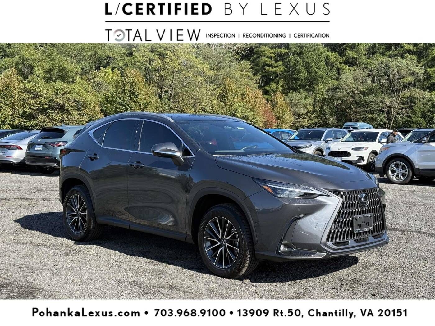2025 LEXUS NX