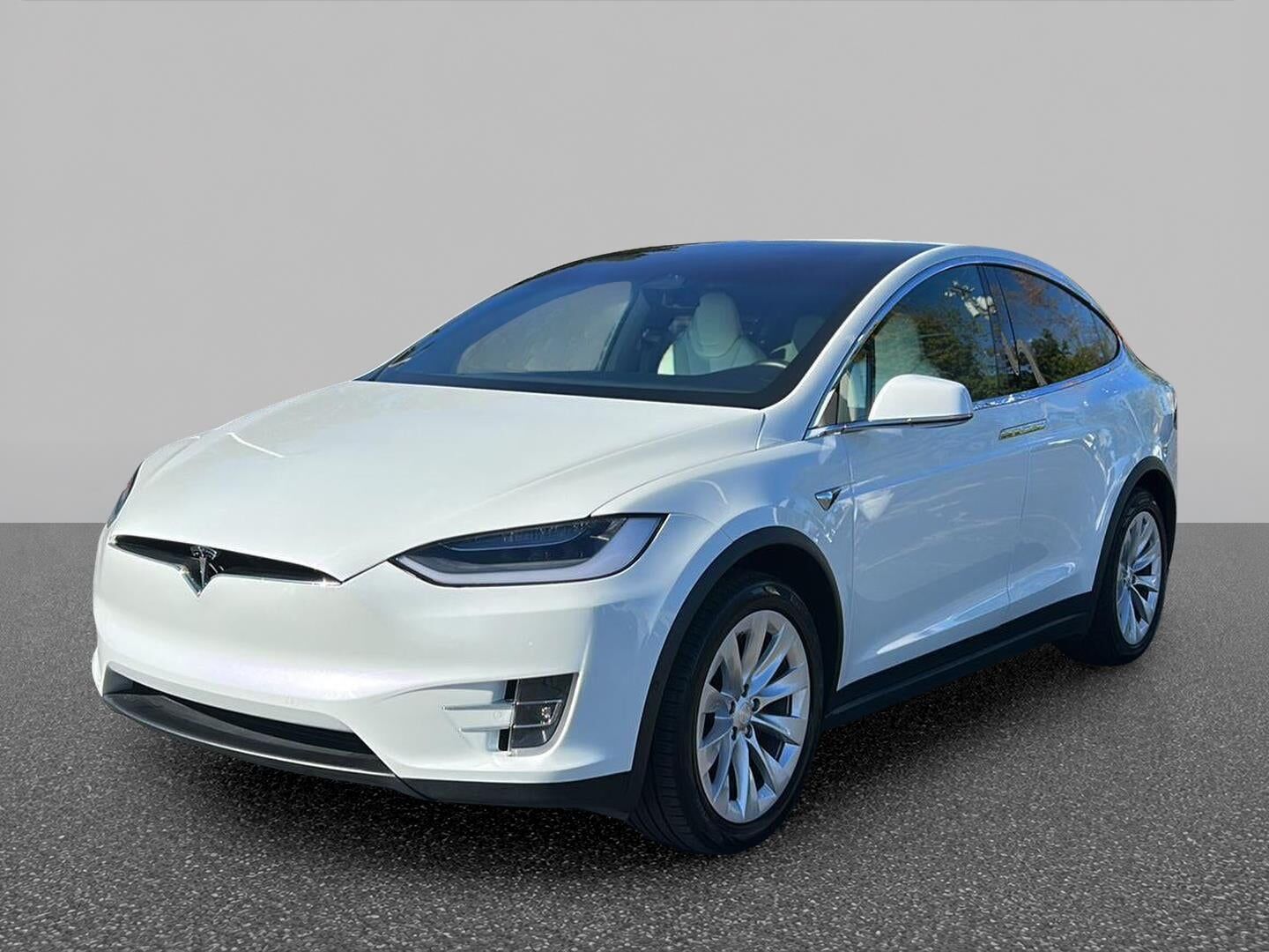 2019 TESLA Model X