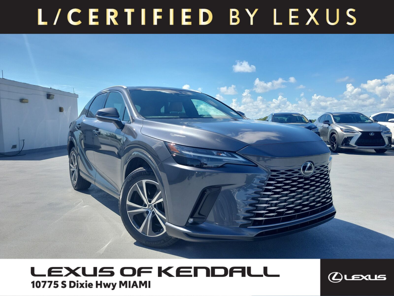 2024 LEXUS RX