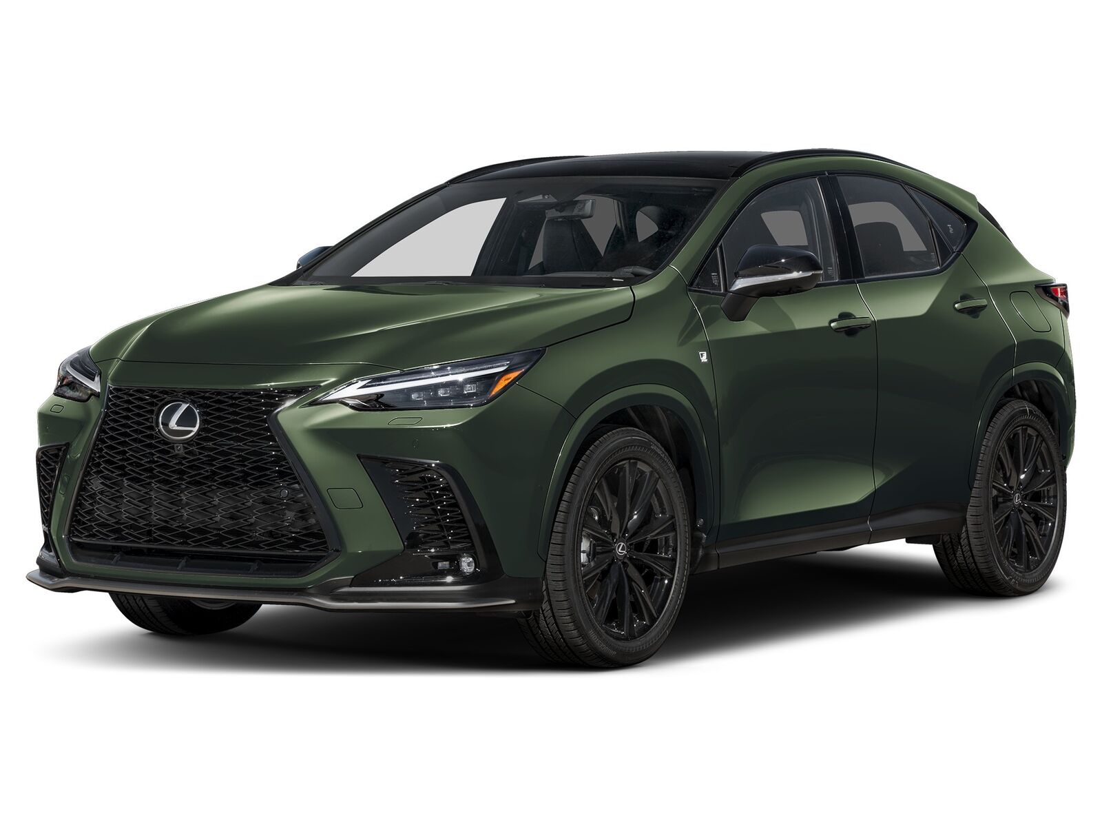 2026 LEXUS NX