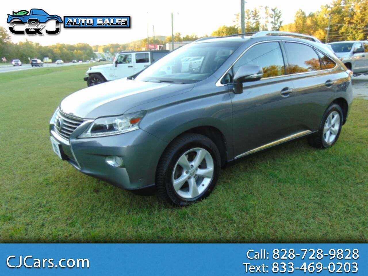 2014 LEXUS RX