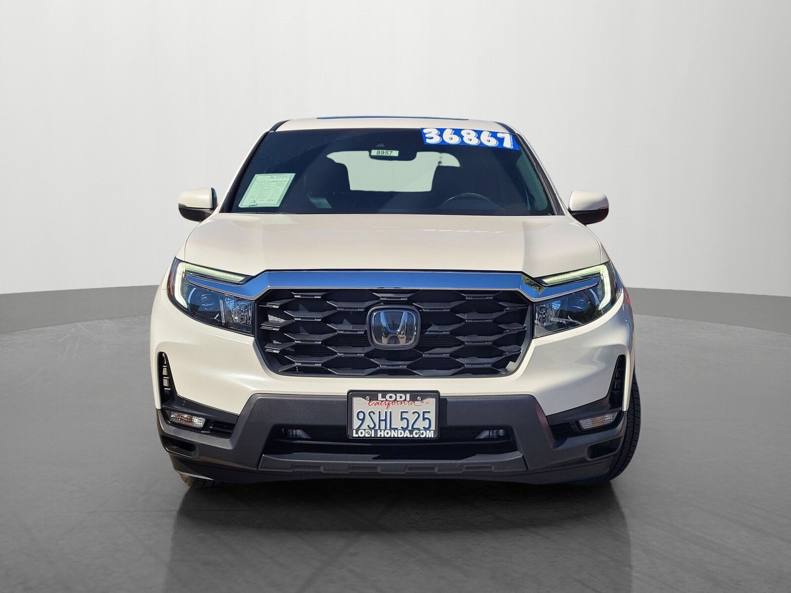 2025 HONDA Passport