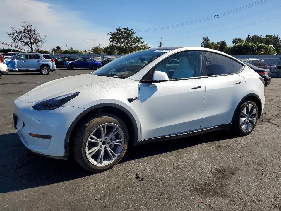 2024 TESLA Model Y