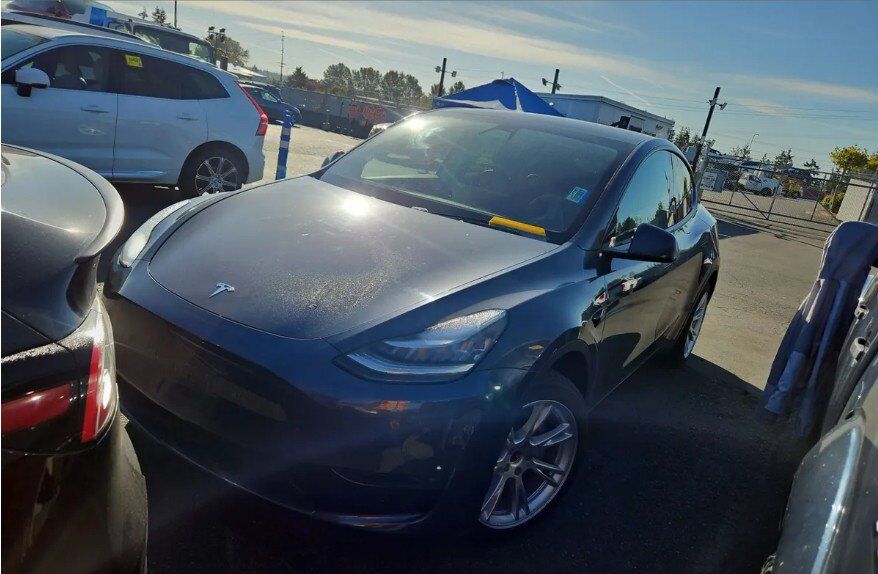 2020 TESLA Model Y