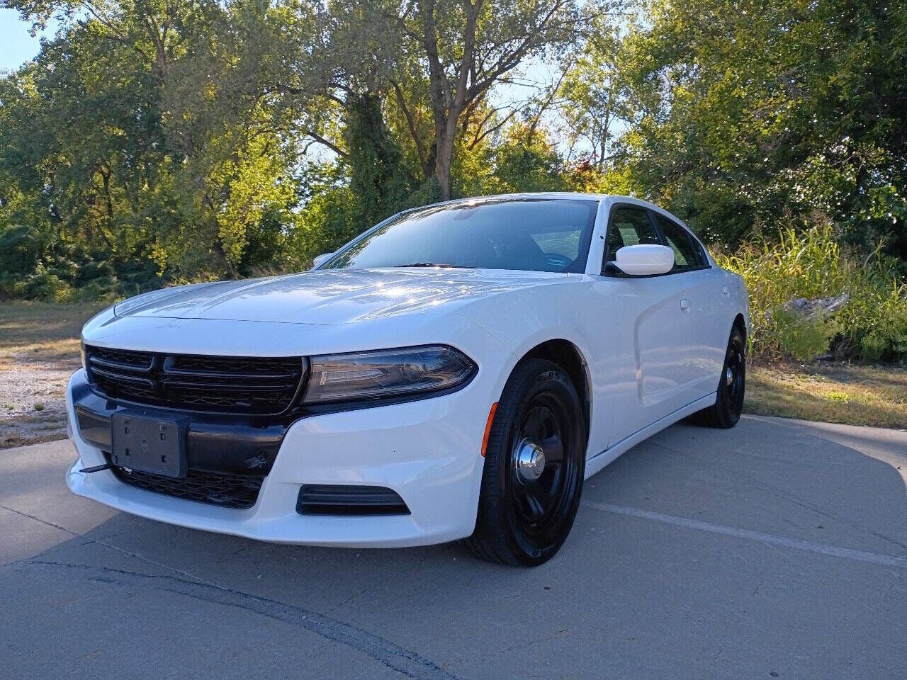 2019 DODGE Charger