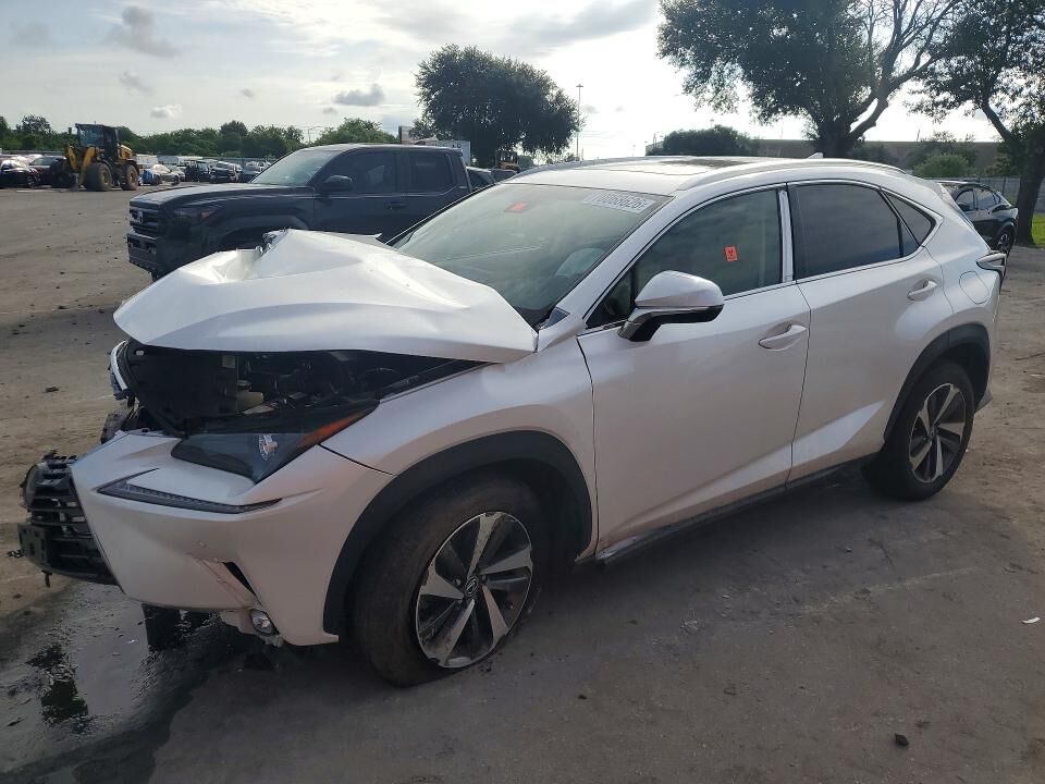 2019 LEXUS NX