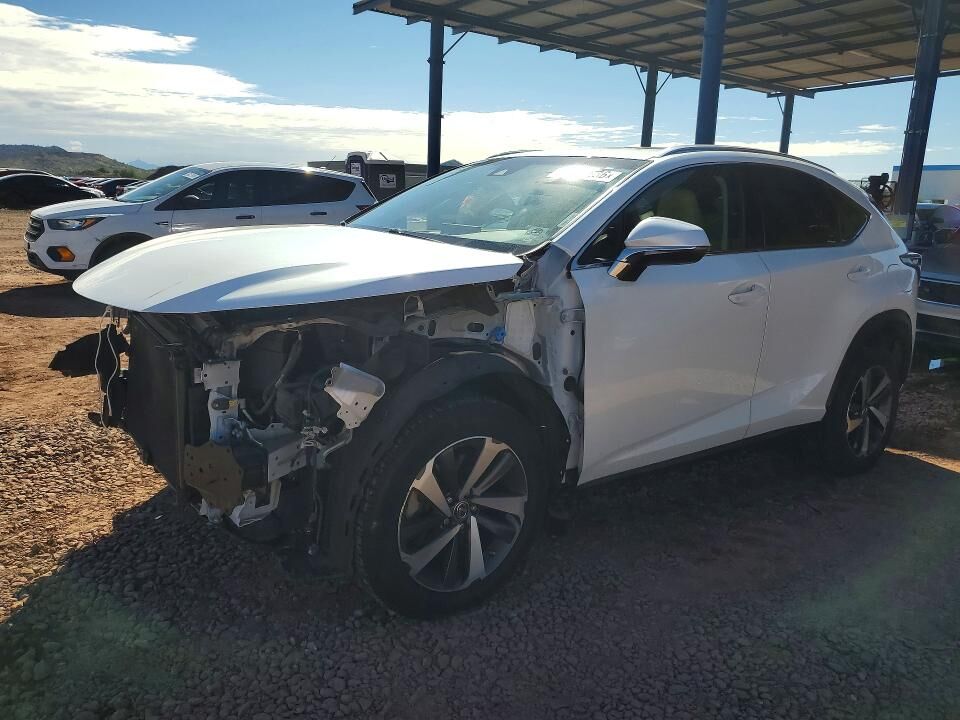 2019 LEXUS NX