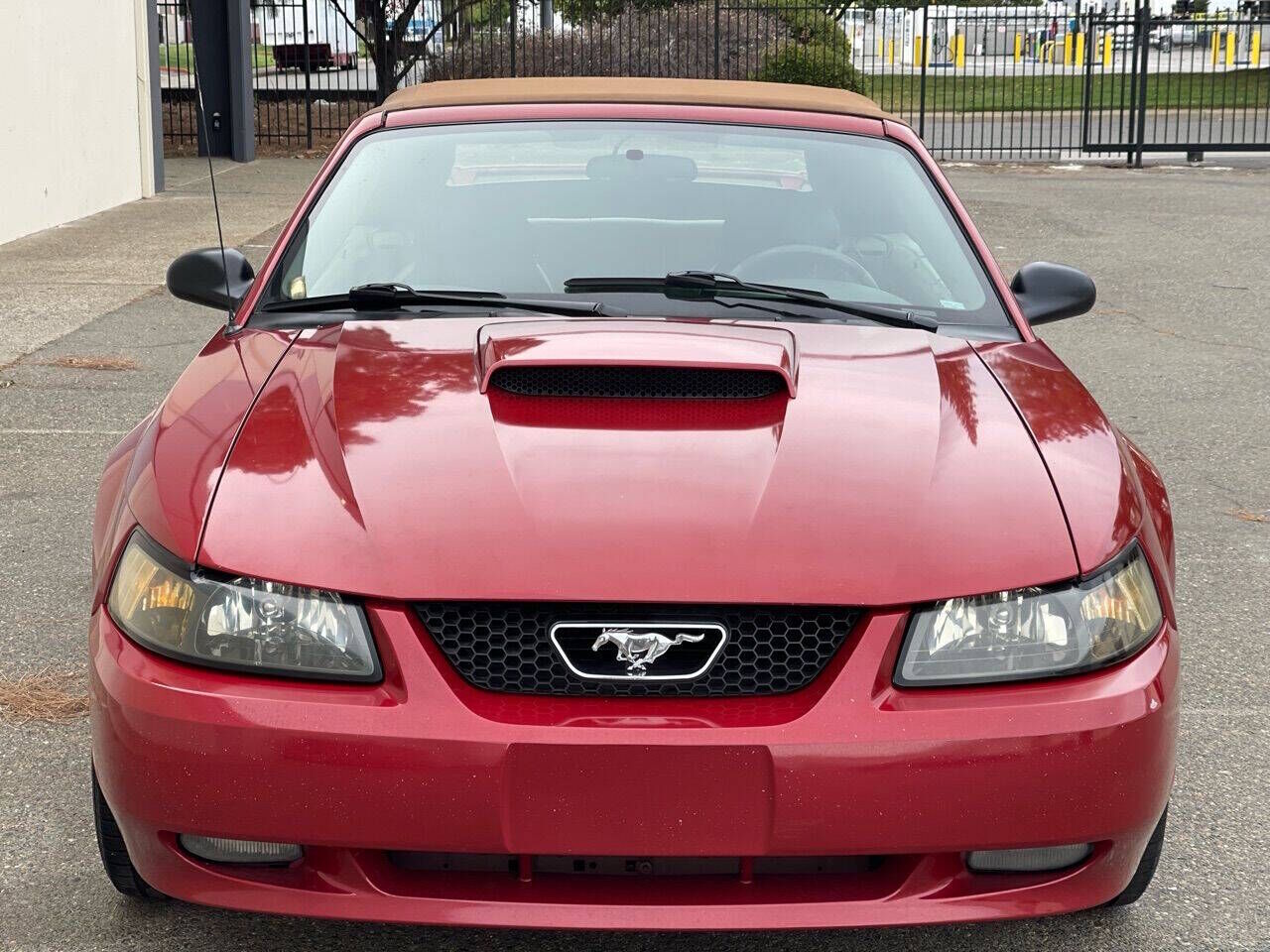 2002 FORD Mustang