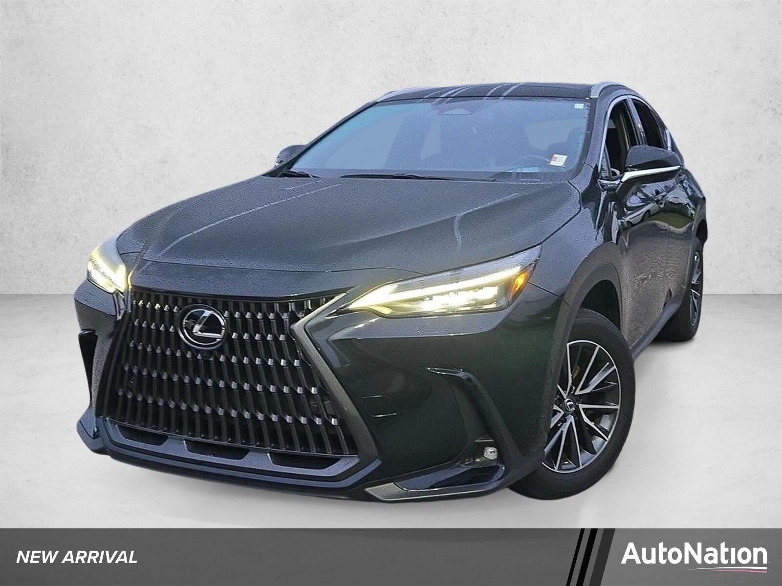 2024 LEXUS NX