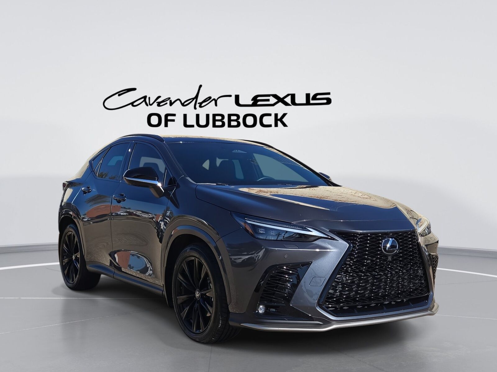 2024 LEXUS NX