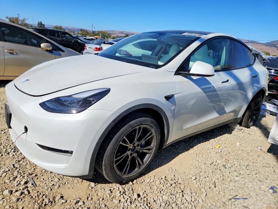 2024 TESLA Model Y
