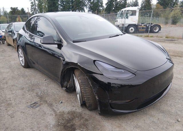2024 TESLA Model Y