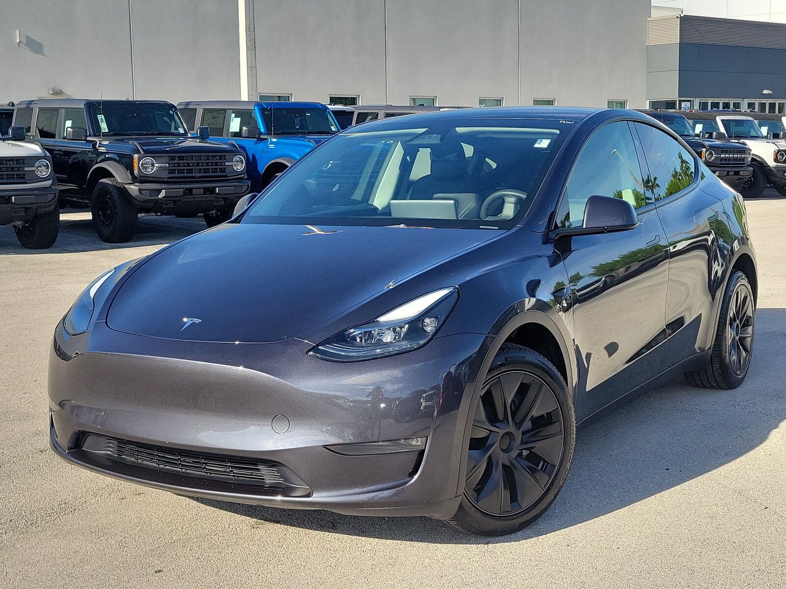 2024 TESLA Model Y