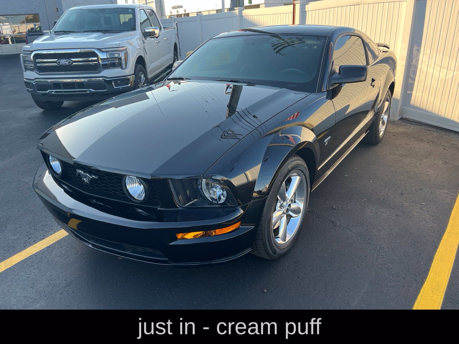 2008 FORD Mustang
