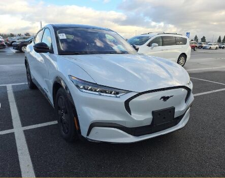 2023 FORD Mustang