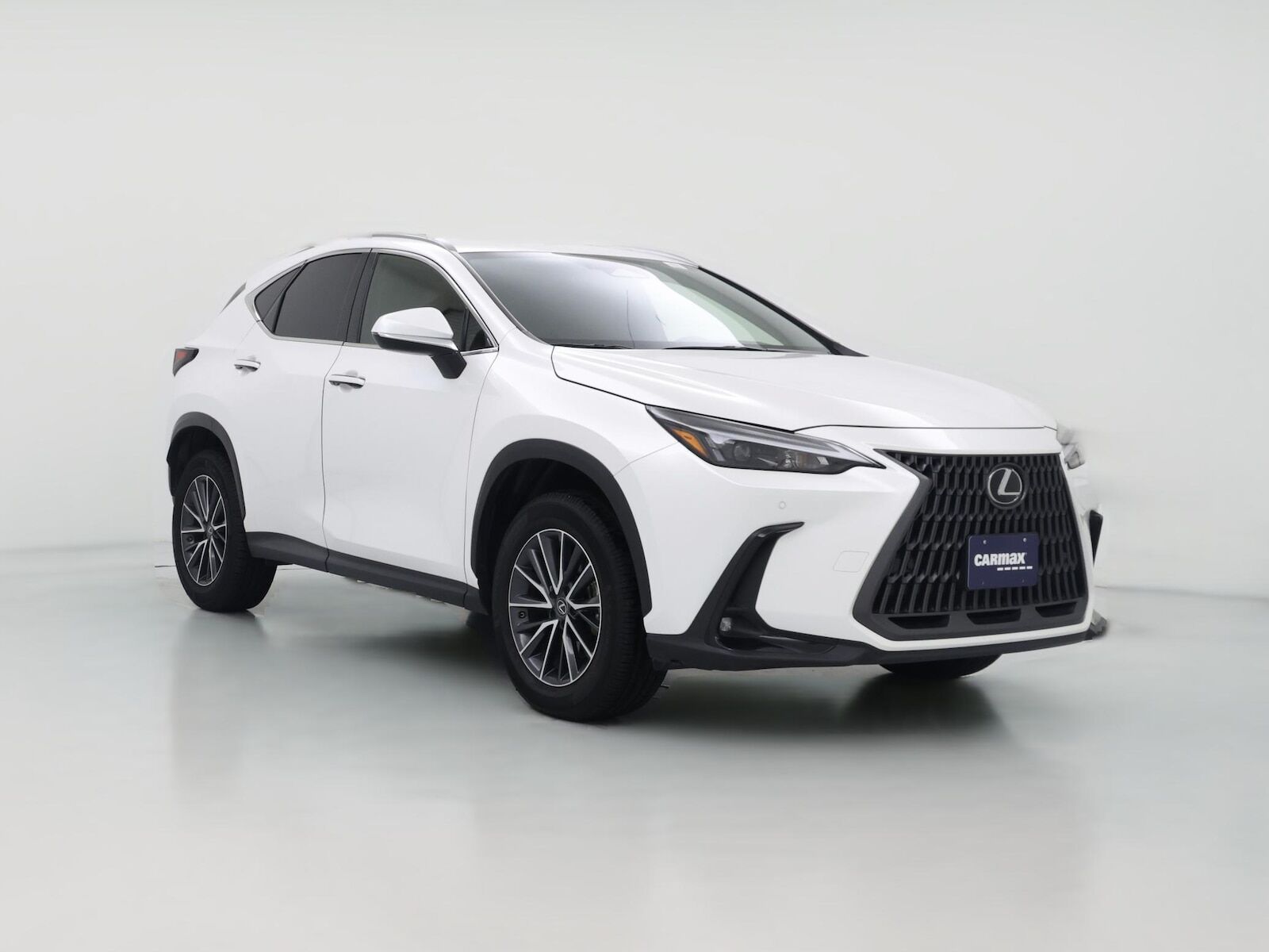 2024 LEXUS NX