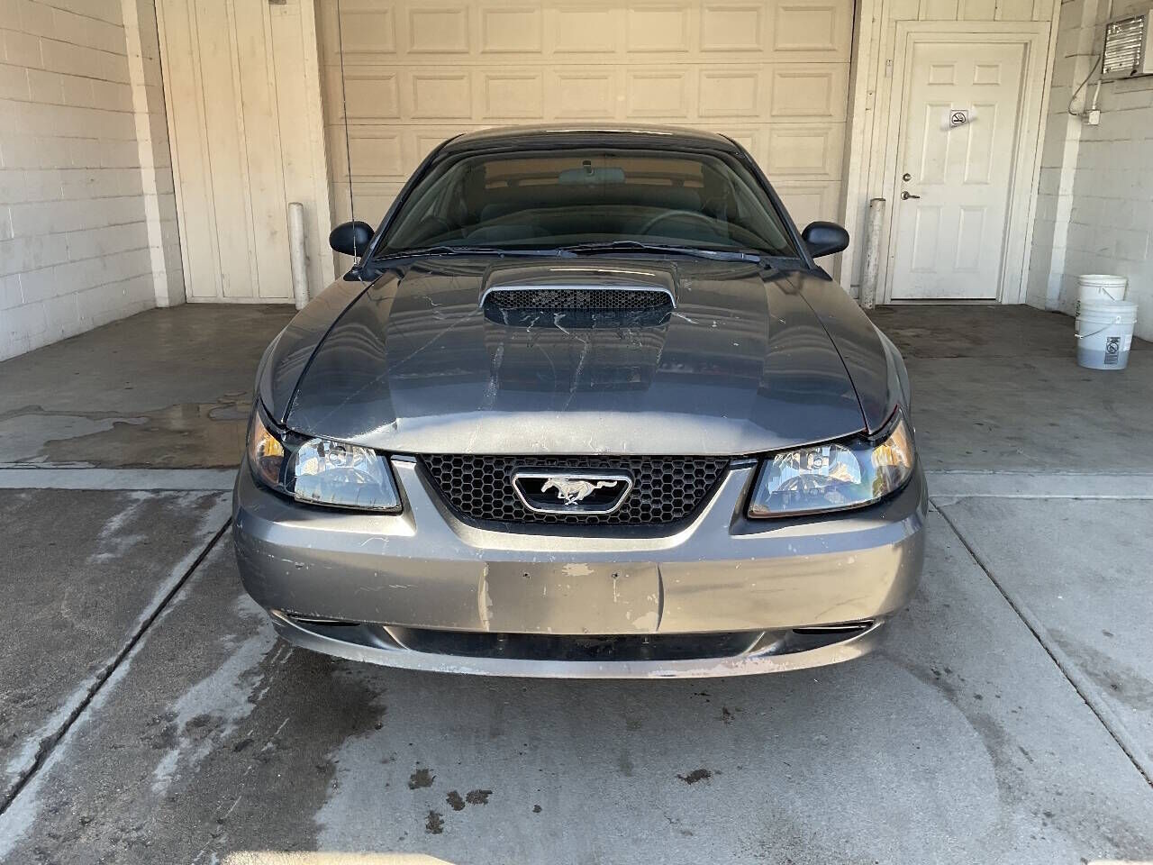 2004 FORD Mustang