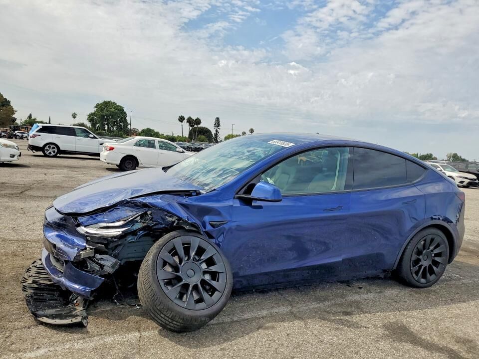 2021 TESLA Model Y
