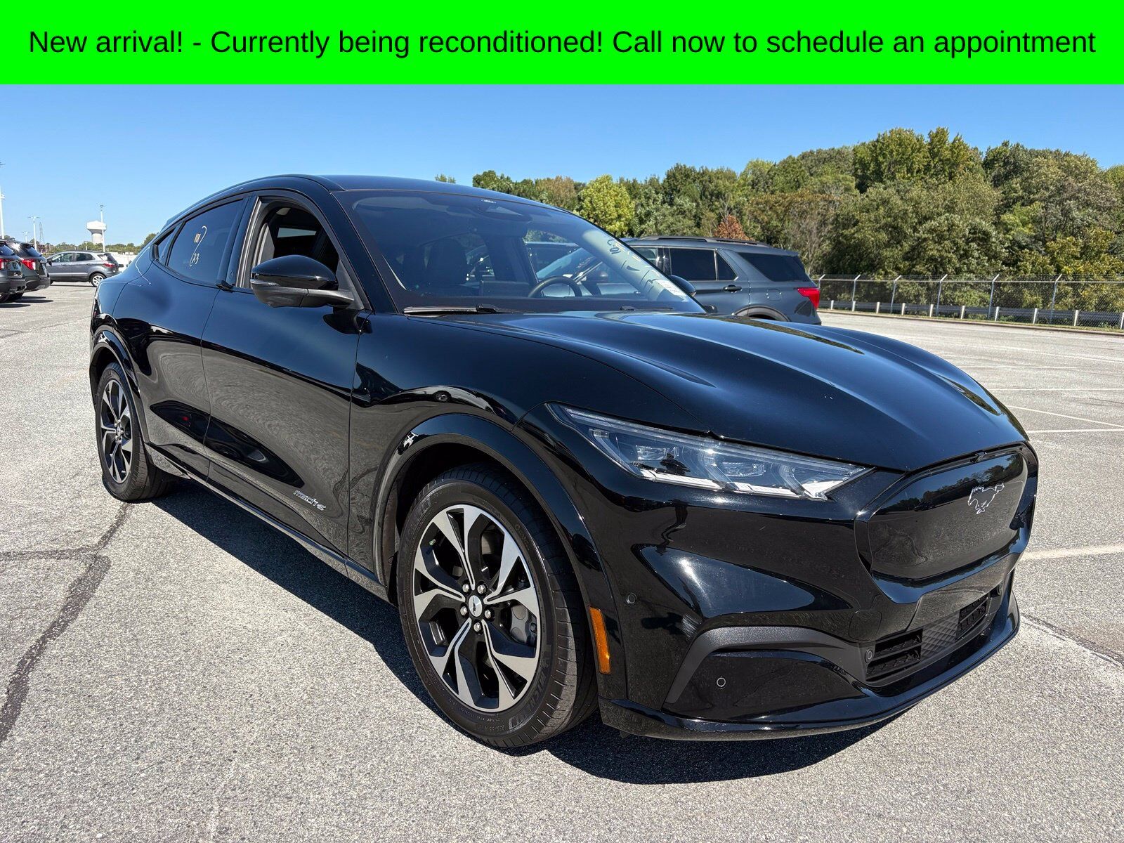 2023 FORD Mustang