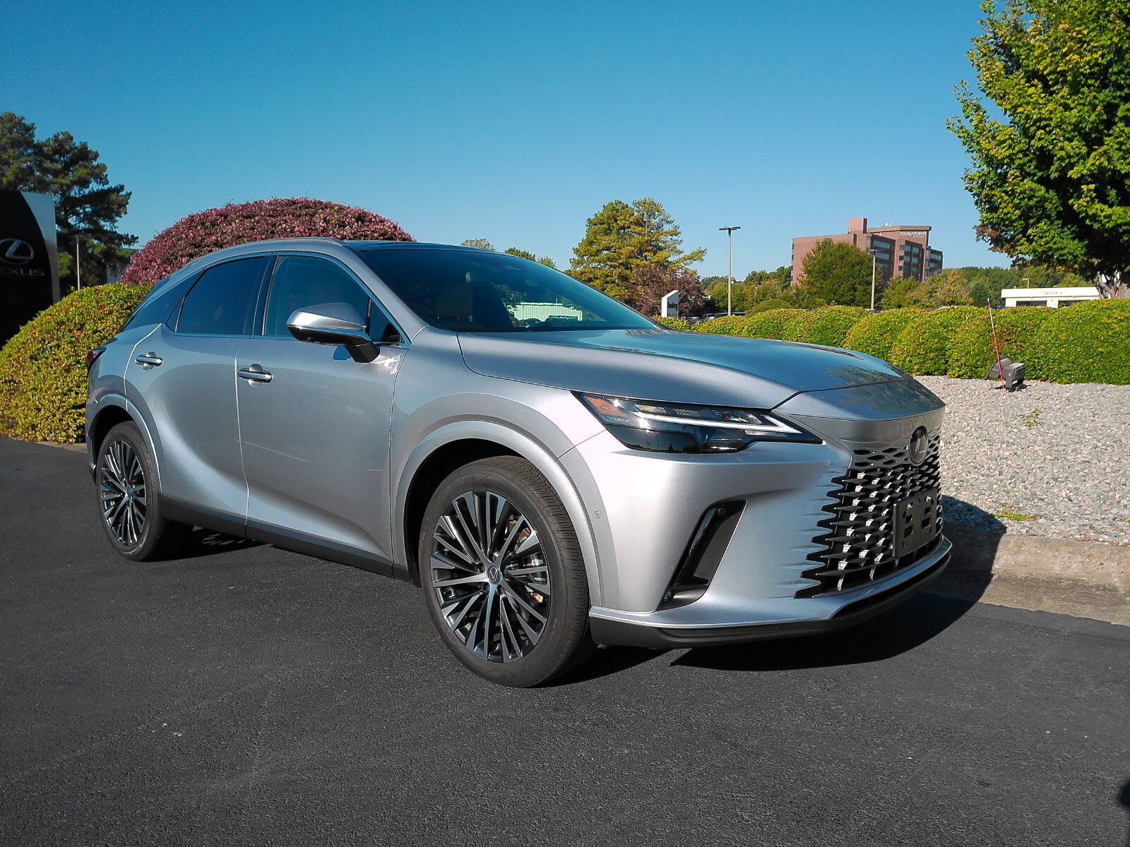 2026 LEXUS RX