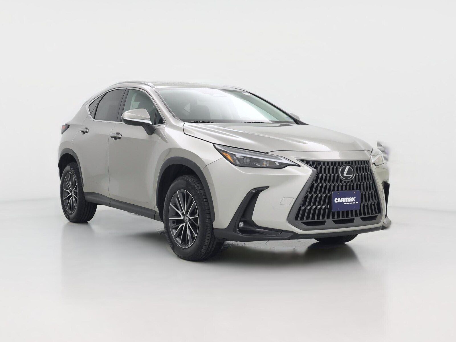 2024 LEXUS NX