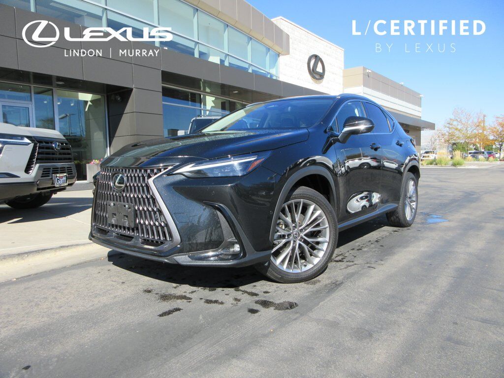 2024 LEXUS NX