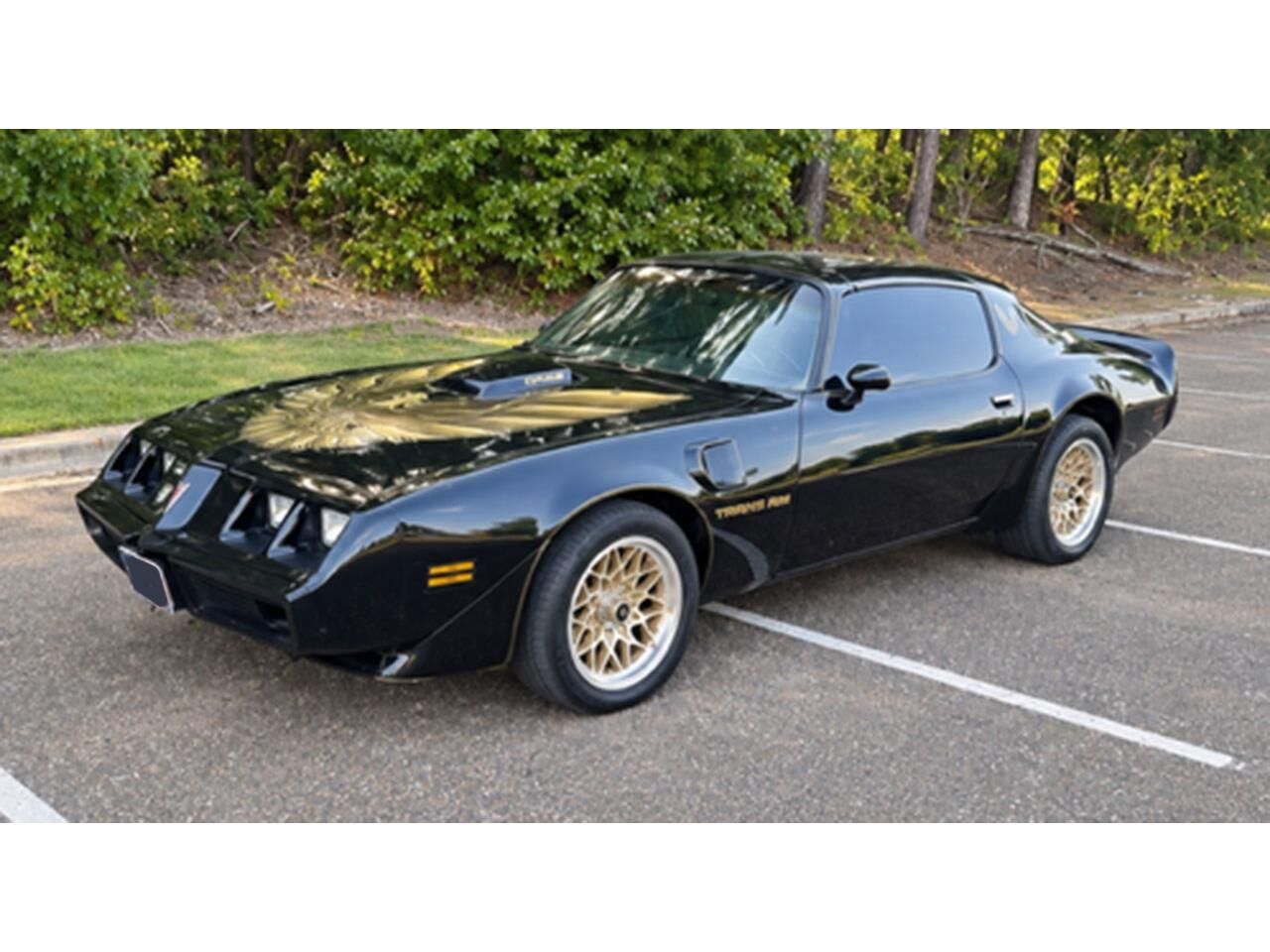 1981 PONTIAC Firebird