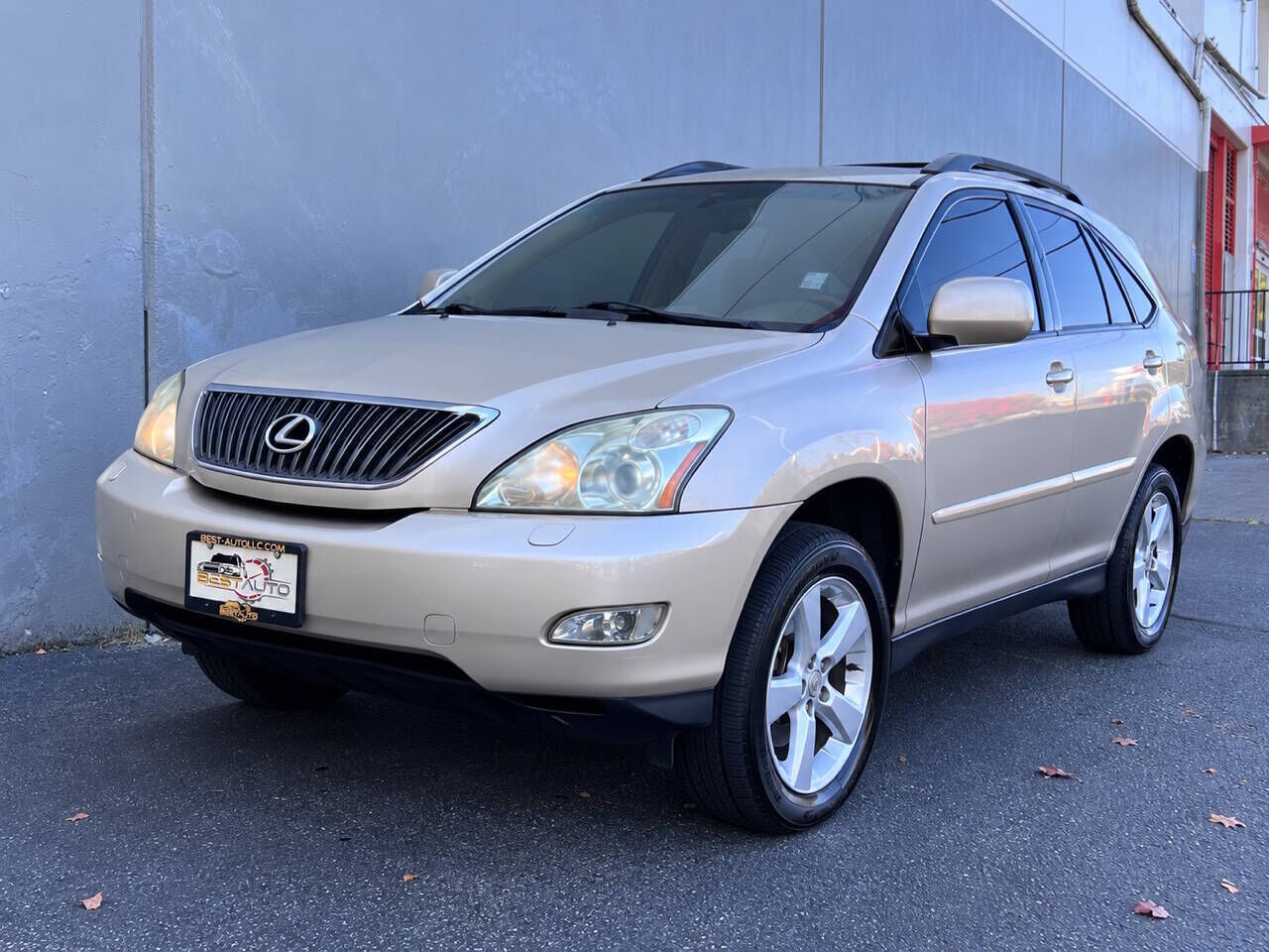 2005 LEXUS RX