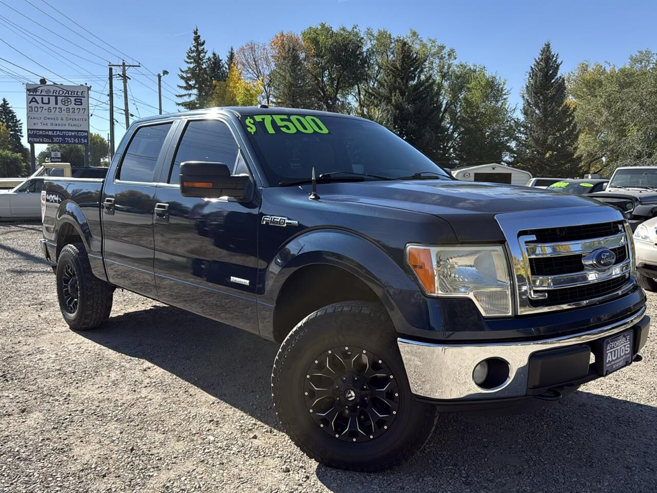 2013 FORD F-150