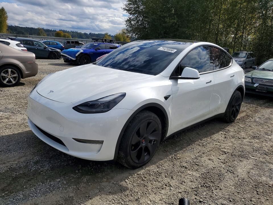 2023 TESLA Model Y