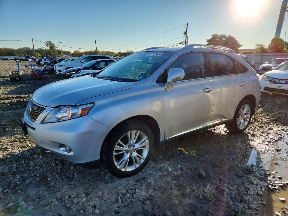 2010 LEXUS RX