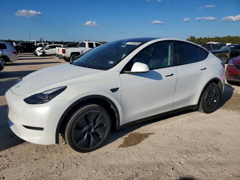 2025 TESLA Model Y