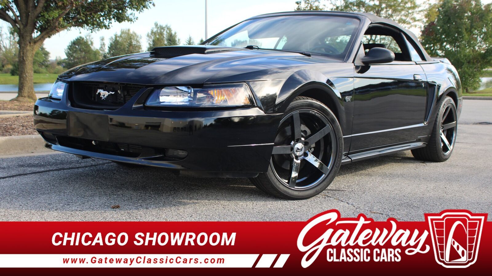 2000 FORD Mustang