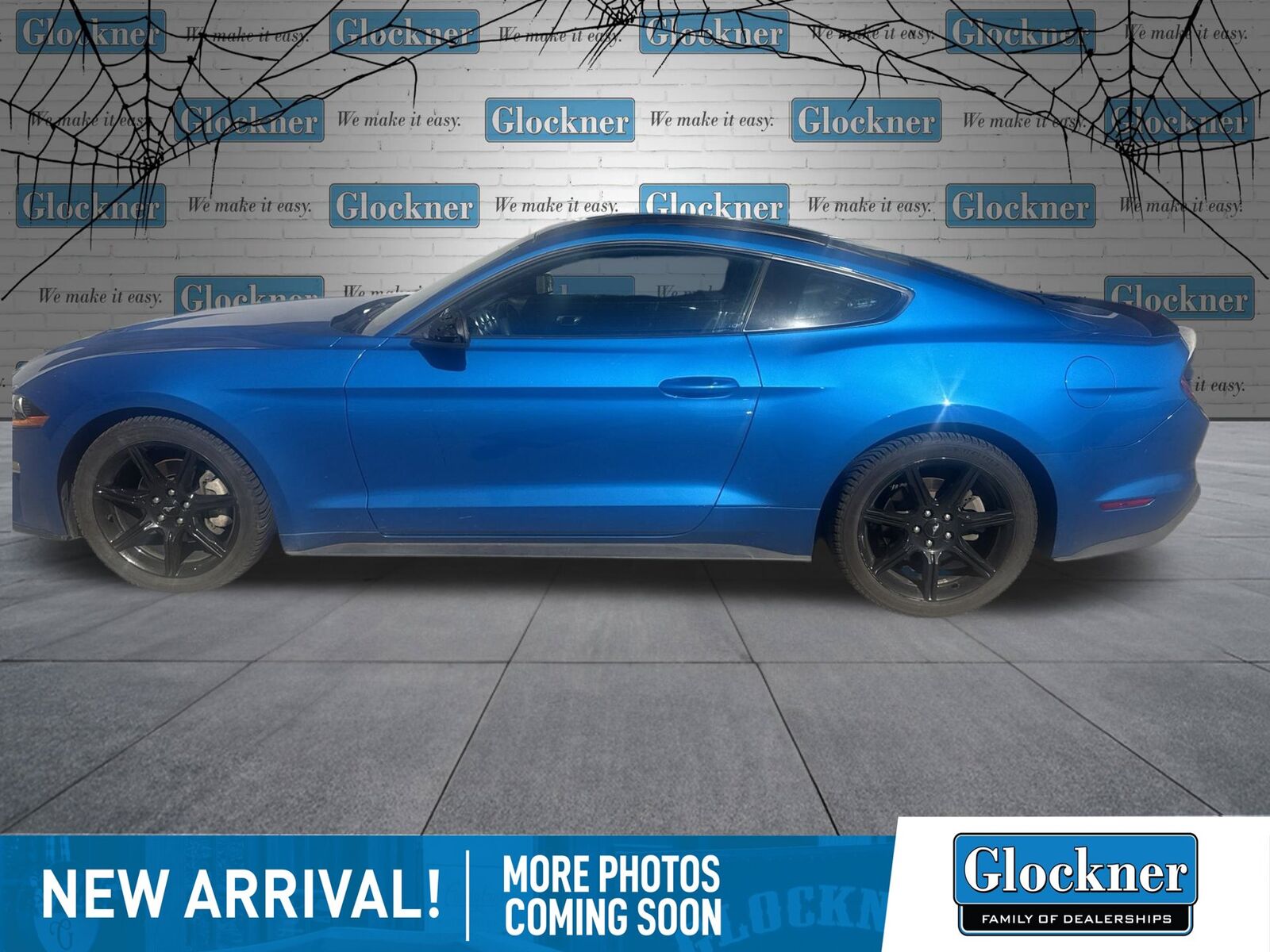 2019 FORD Mustang