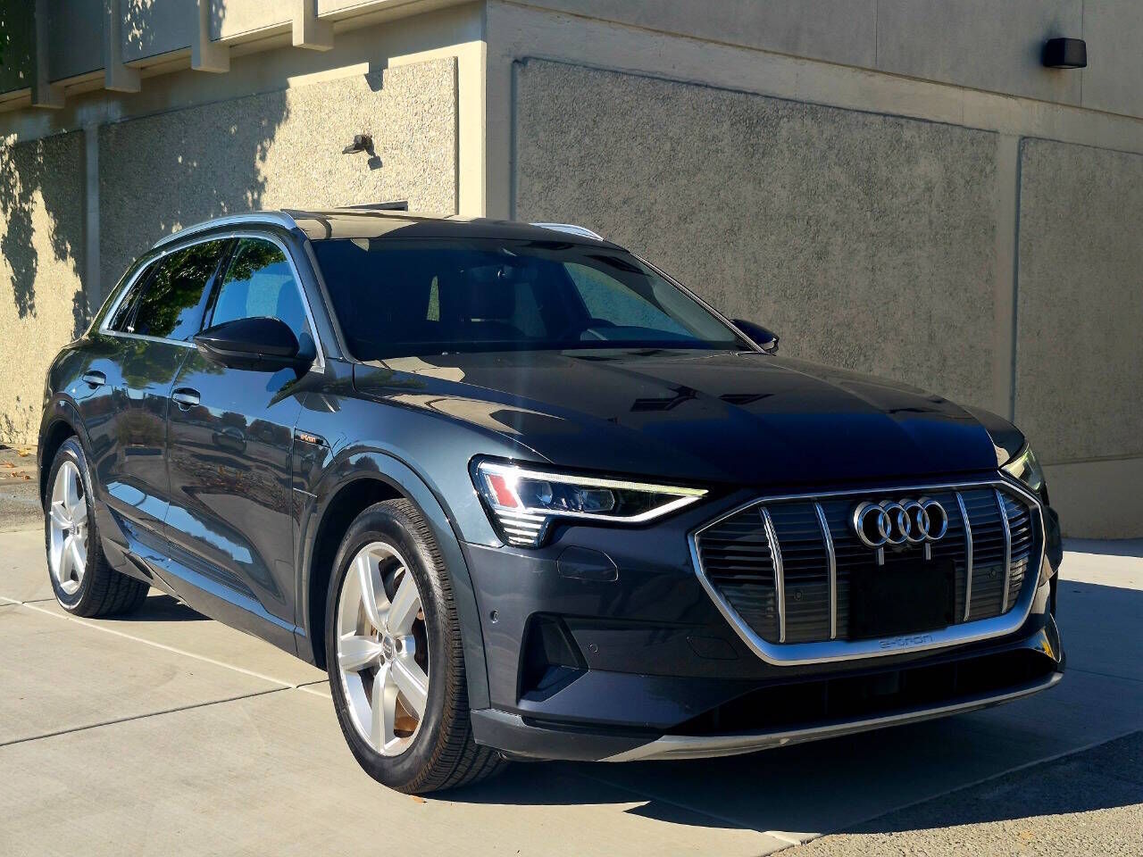2019 AUDI e-tron